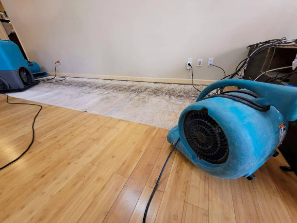 Professional Sewage Cleanup technician working in Bullard, TX